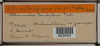 Image Associated With the Occurence